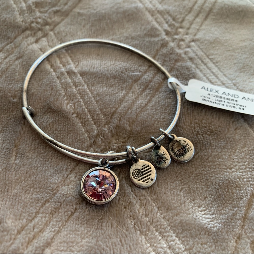 Alex and Ani Silver Charm Bracelet Bangle NWT June Light Amethyst